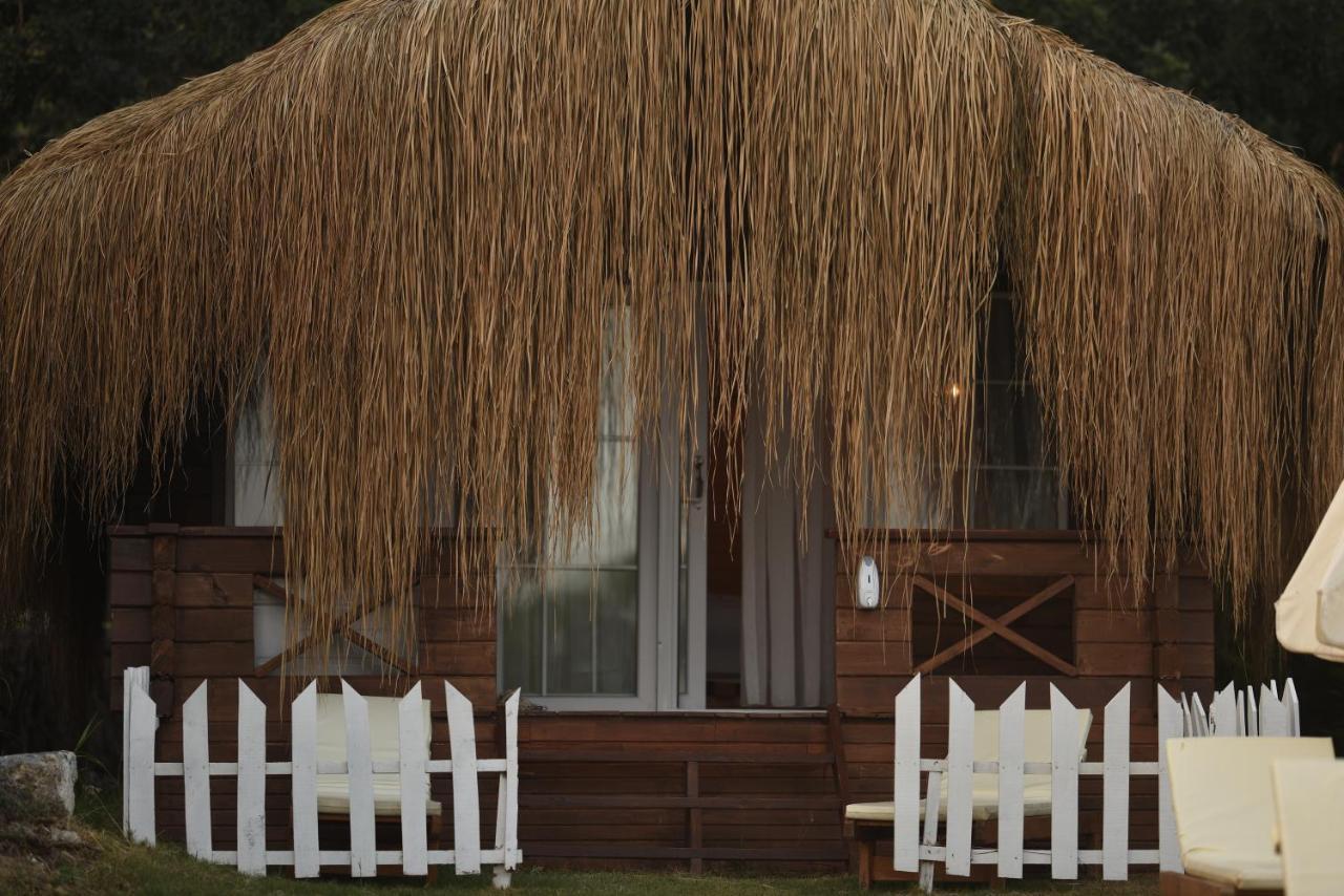 Bungalow - Beach Front