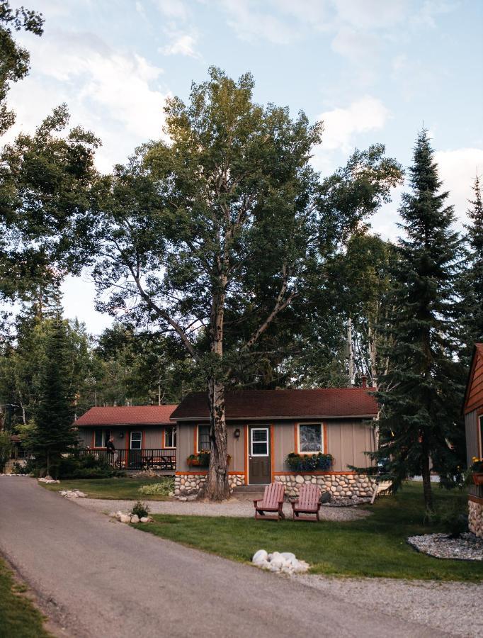 Cottage Pet Friendly