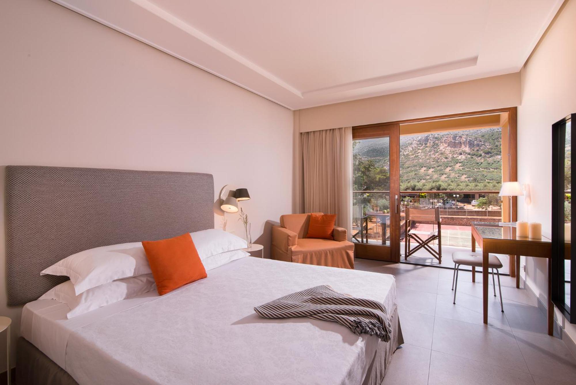 Superior Room Mountain View
