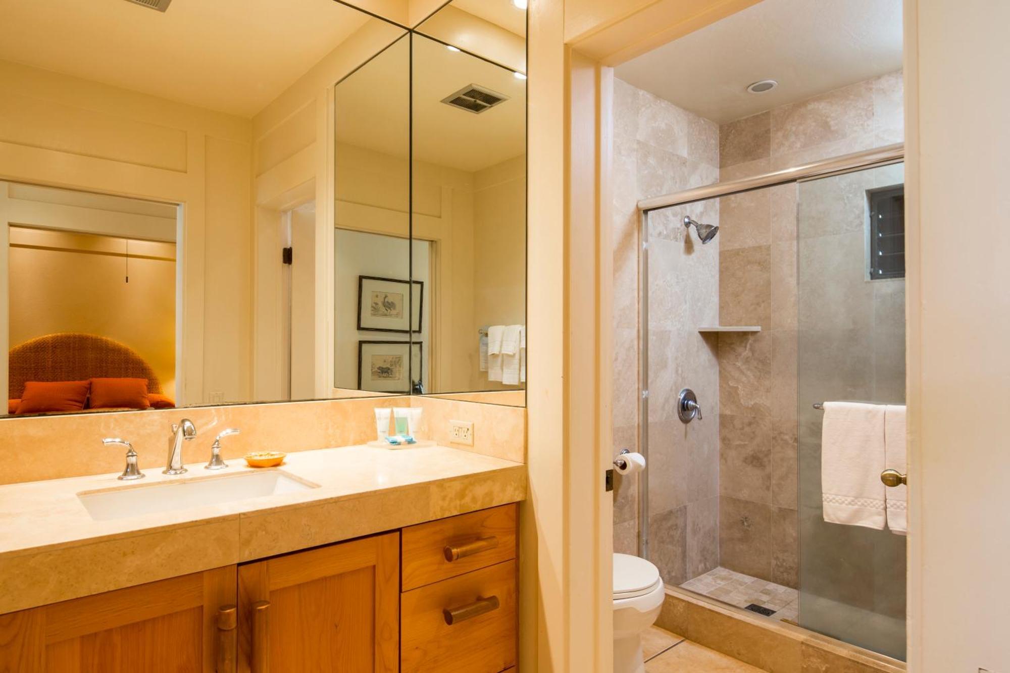 1-Bedroom Ocean View Suite