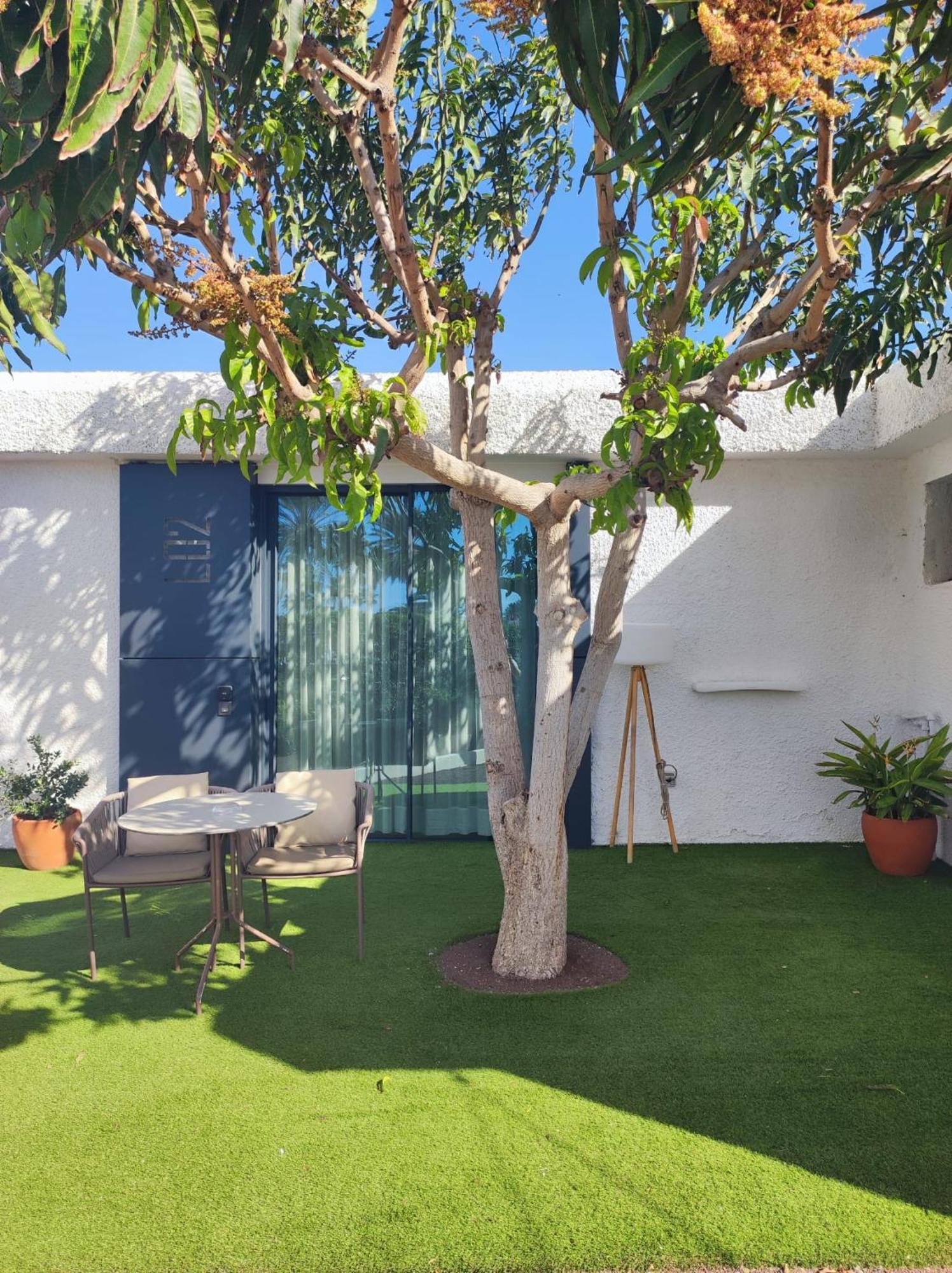 Studio Garden View,1643757787:JPEG