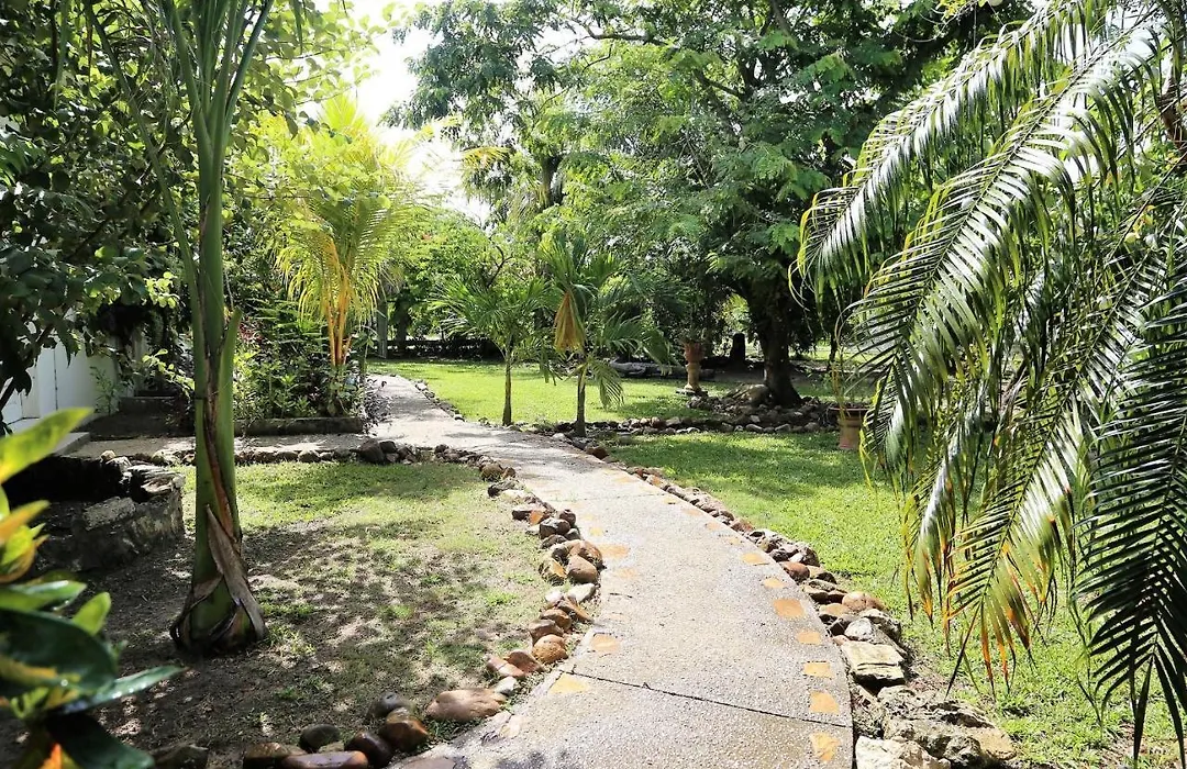 The Gecko Bungalow**Beautiful Pool**Free Airport Shuttle-1