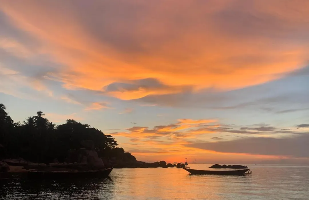 Save Bungalow Koh Tao-1