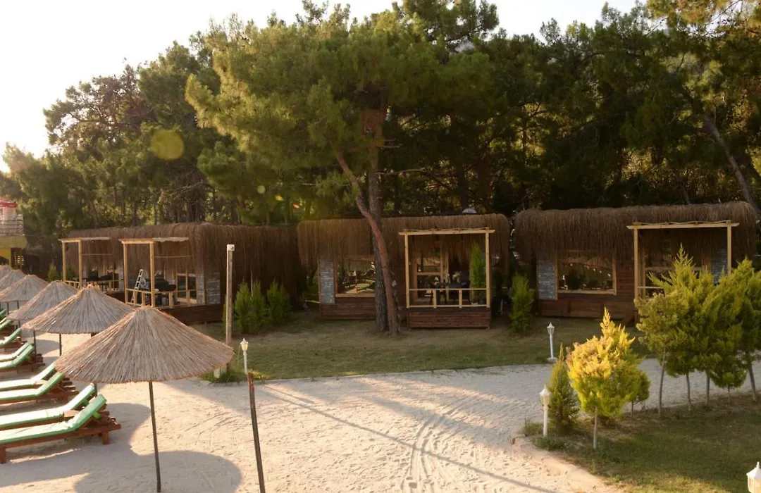Green Pine Bungalows & Beach Luxury Concept-1