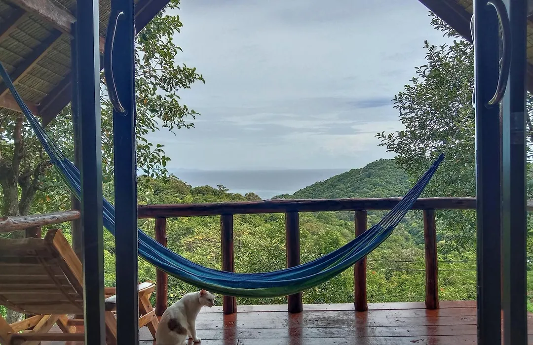 Tree House Bungalows Koh Tao-1