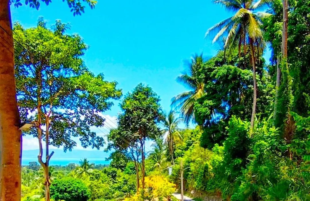 Hidden Valley Bungalows-1