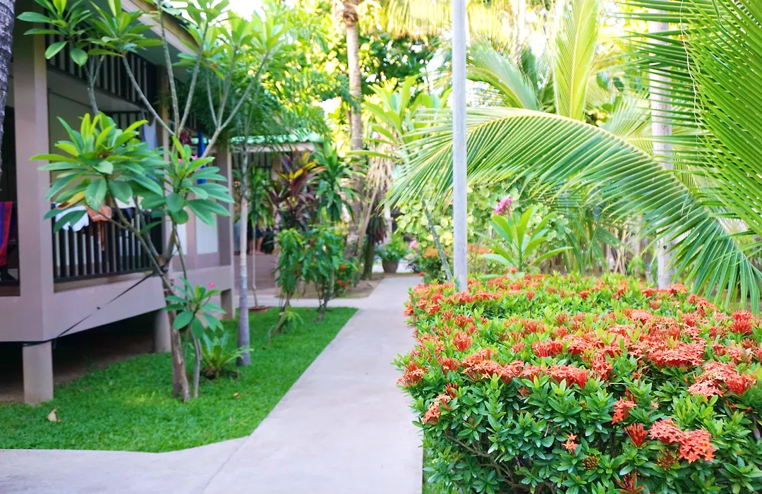 Lamai Inn 99 Bungalows-1