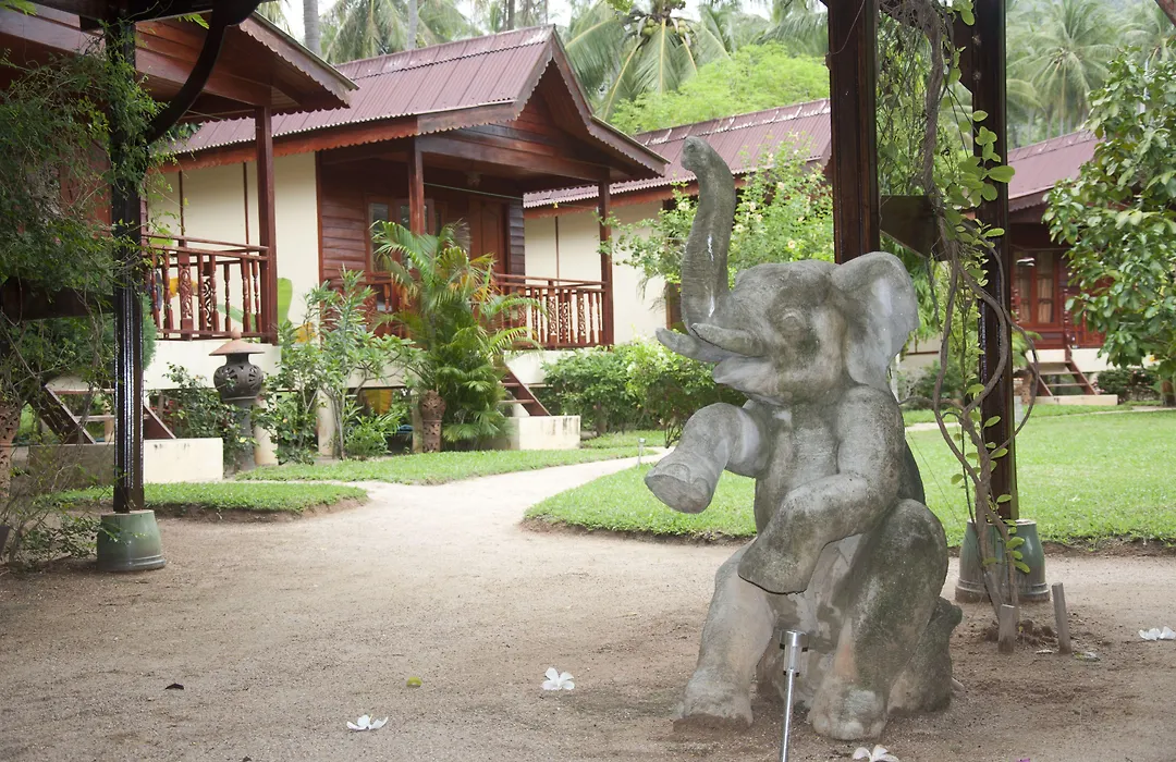 Phangan Rainbow Bungalows-1