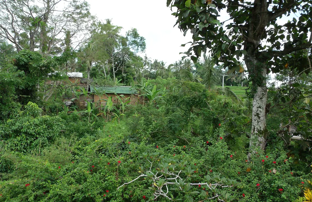 Wenara Bali Bungalows-1