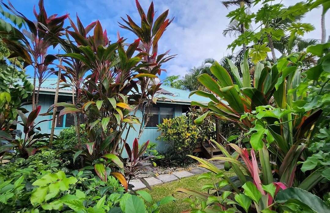 Aroa Kainga Bungalows And Apartment-1