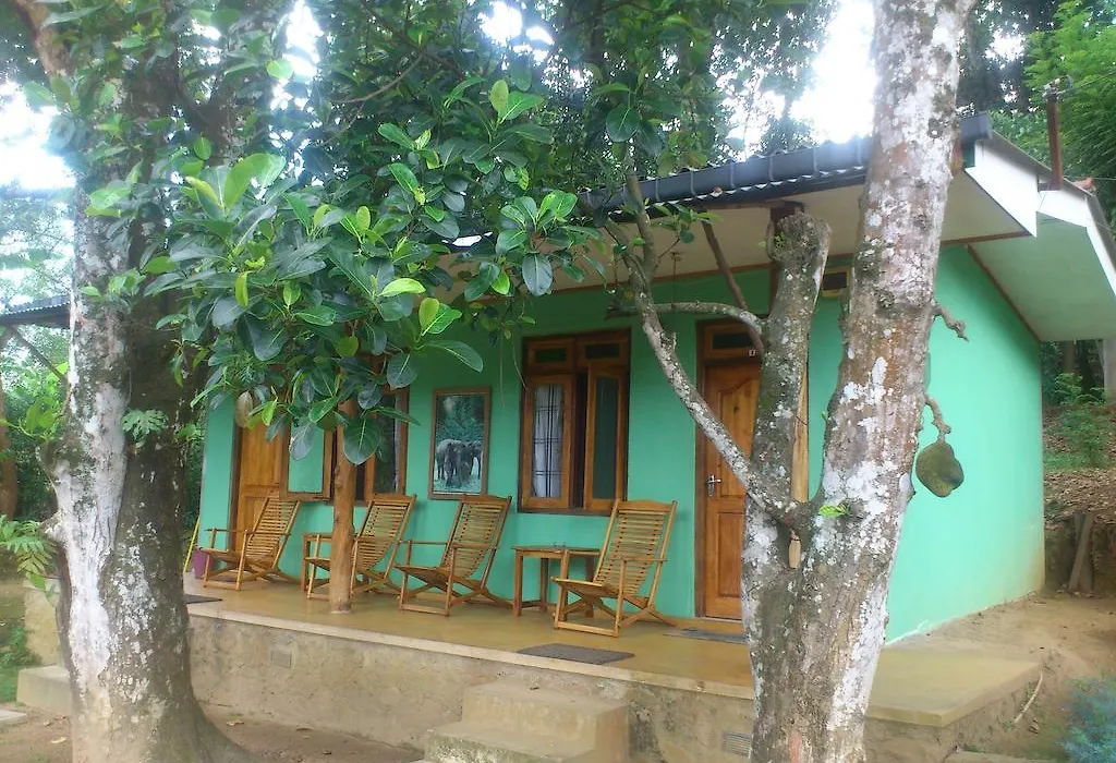 Aurora Holiday Bungalow-1