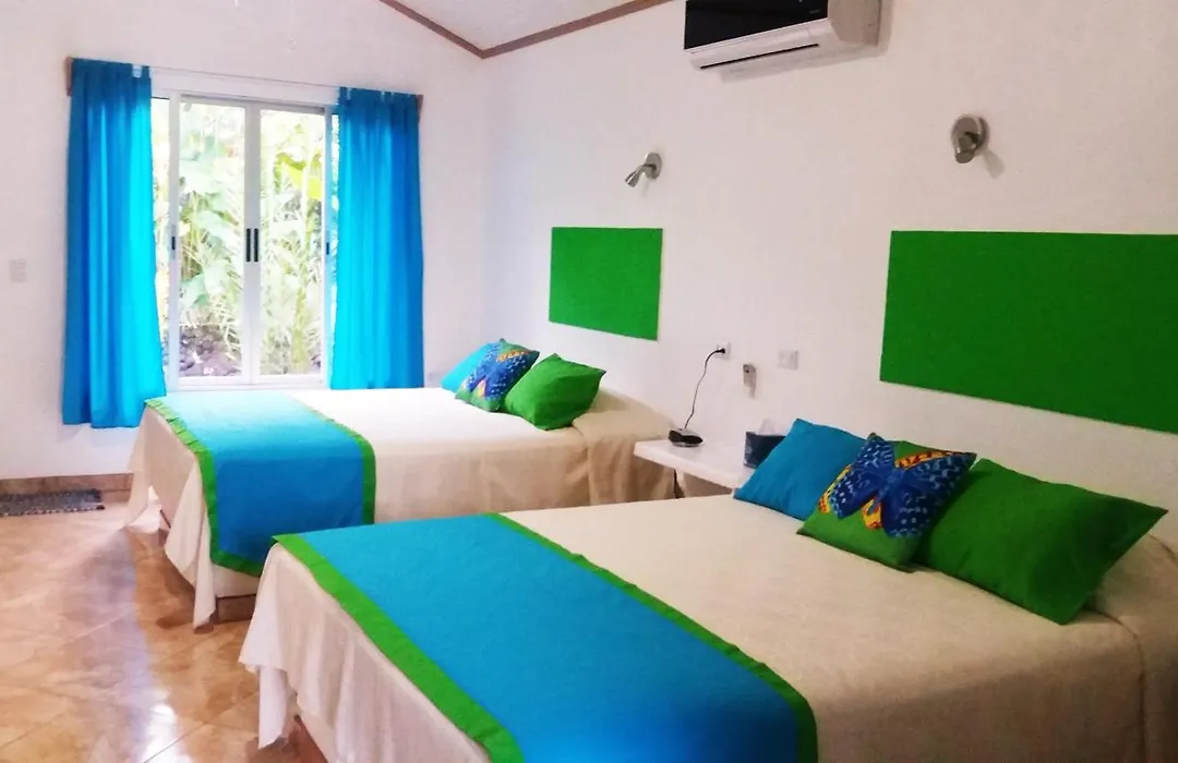 Tropical Paradise Bungalows-1