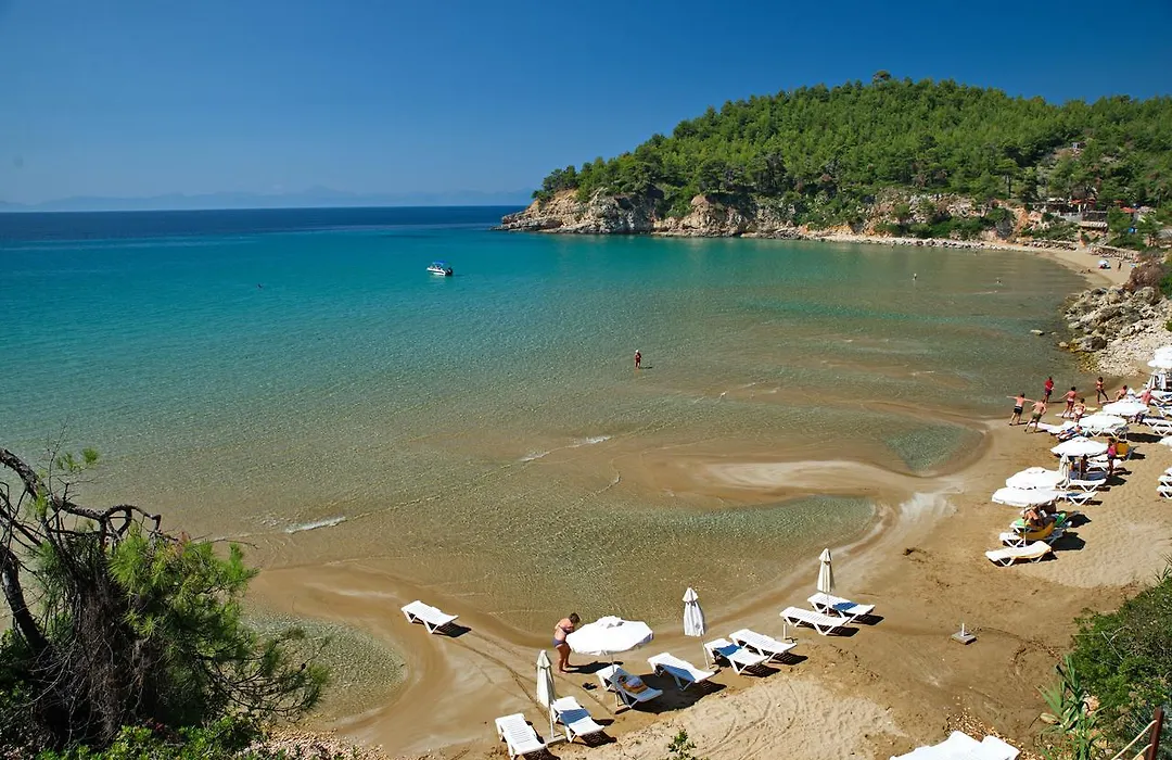 Alonissos Beach Bungalows And Suites Hotel-1