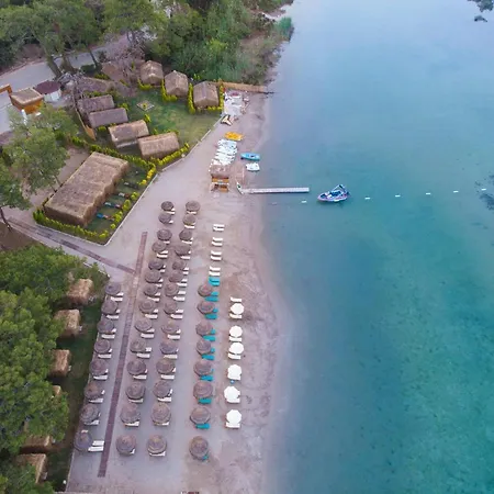 Green Pine Bungalows & Beach Luxury Concept-3