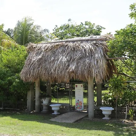 The Gecko Bungalow**Beautiful Pool**Free Airport Shuttle-3