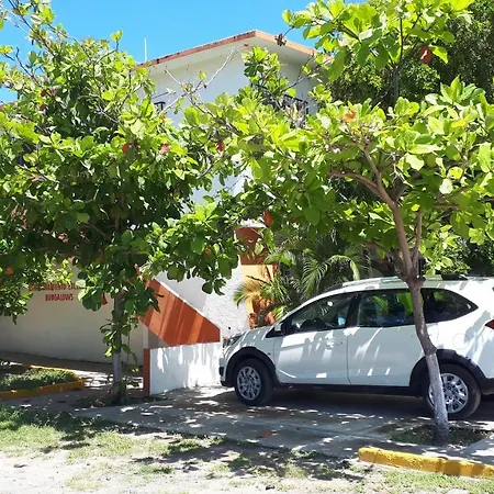 Bungalows Delfin-3
