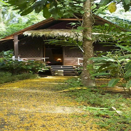 Azania Bungalows-3
