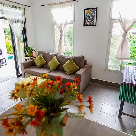 Treetop Bungalows-2