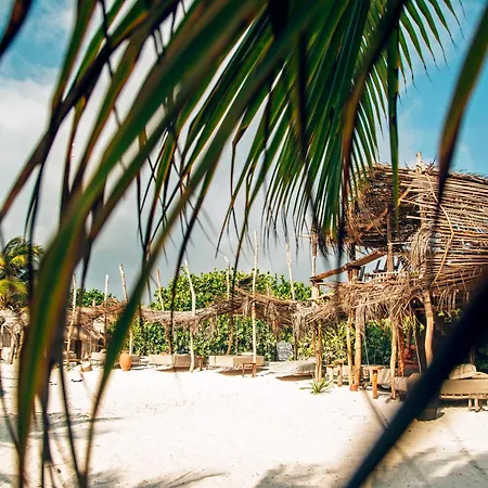 Ikal Tulum Hotel-3