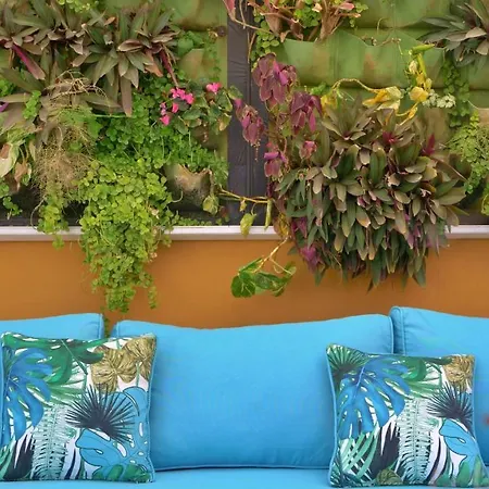 Bungalows Los Almendros - Exclusive Vacation Club-2