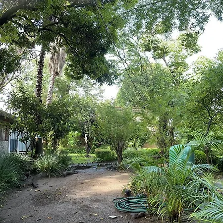 La Casa De Los Mangos Ajijic-3