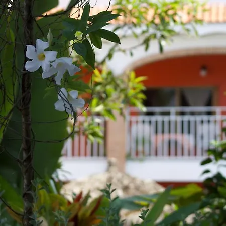 Bungalows Las Tortugas-2