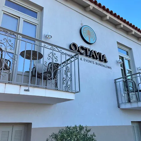 Octavia Rooms-3