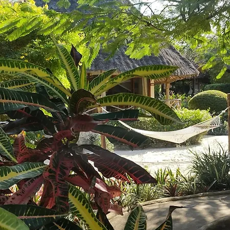 Marafiki Bungalows-2