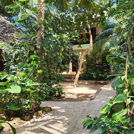 Atii Garden Bungalows-3