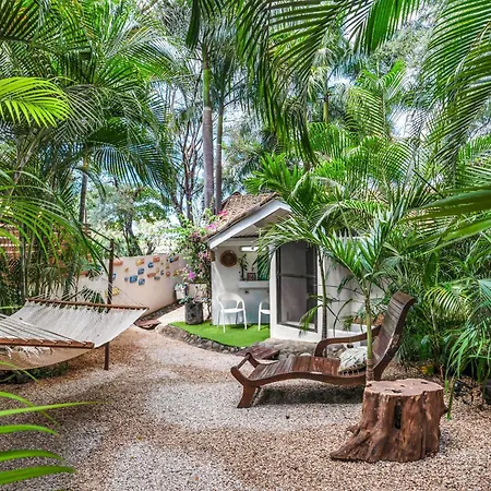 The Beach Bungalows (Adults Only)-3