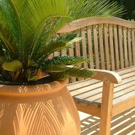 Cocos Beach Bungalows-2