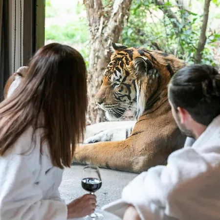 Big Cat Bungalows At The Haven - Tiger 4-3