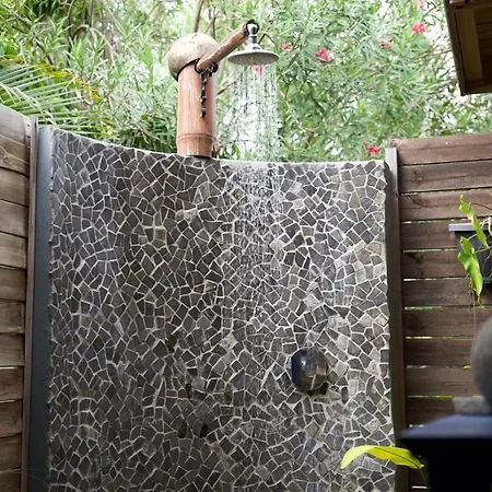 The Bluebamboo-3