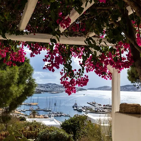 Rhenia Mykonos-3