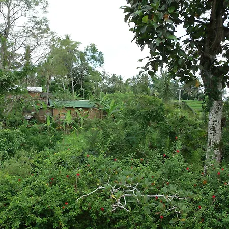 Wenara Bali Bungalows-2