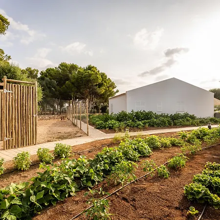 Lago Resort Menorca - Villas & Bungalows Del Lago-3