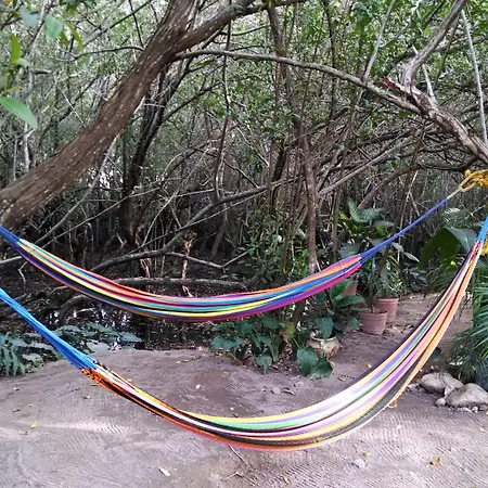 Manglar Pacific-3