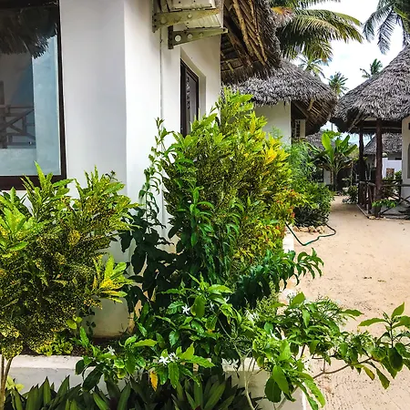 Jambiani White Sands Bungalows-2