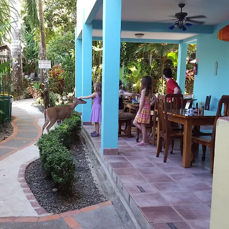 La Posada Jungle Hotel-2