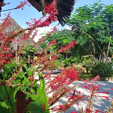 Marafiki Bungalows-3