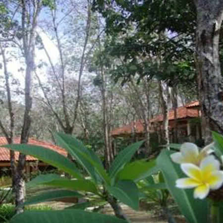 Koh Mook Rubber Tree Bungalows-2