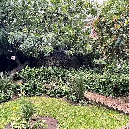 La Casa De Los Mangos Ajijic-2