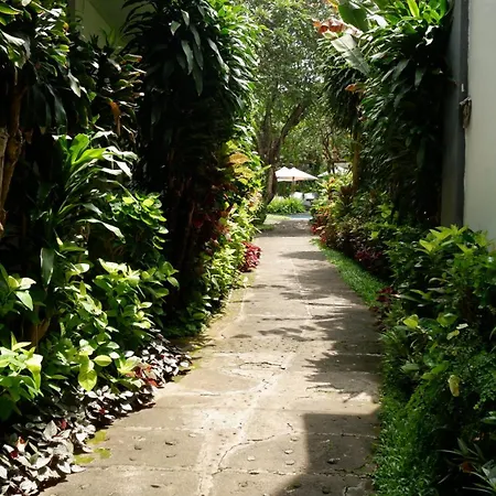 Swastika Bungalows-2