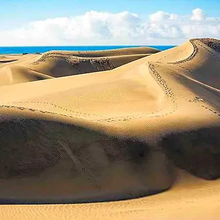 Bungalows Maspalomas Oasis Club-3
