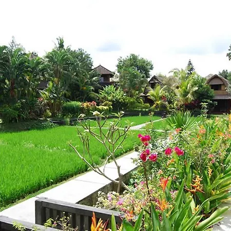 Gerebig Bungalows-3
