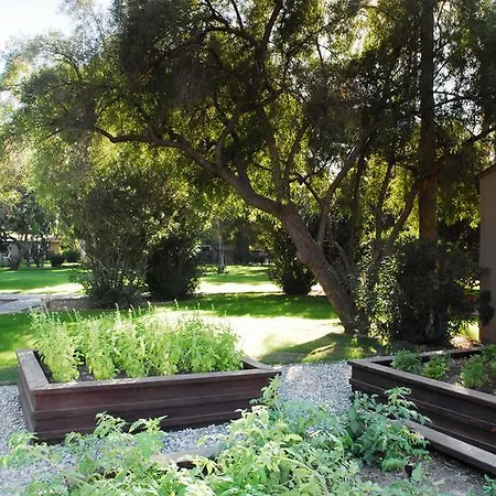 Smoketree Resort And Bungalows-2