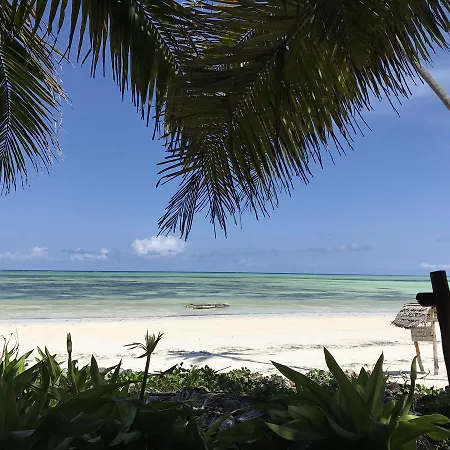 Paradise Beach Bungalows-3