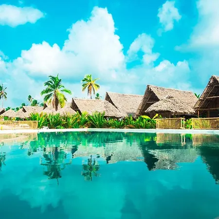 New Jambo Bungalows-3