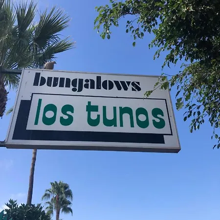 Los tunos campo internacional-2
