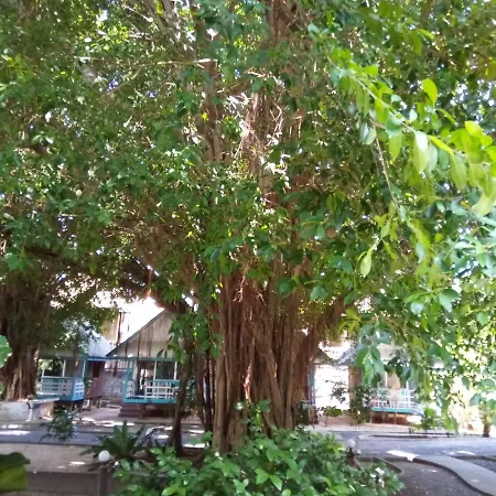 Blu' Beach Bungalows-3